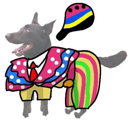 生き物ルーム第45