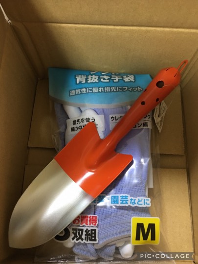 ◆(12)関西版 雑談◆〜関西以外の方も話の輪にどうぞ♪