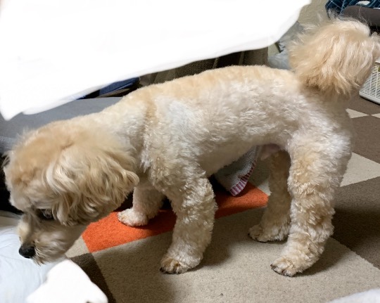 生き物ルーム第45