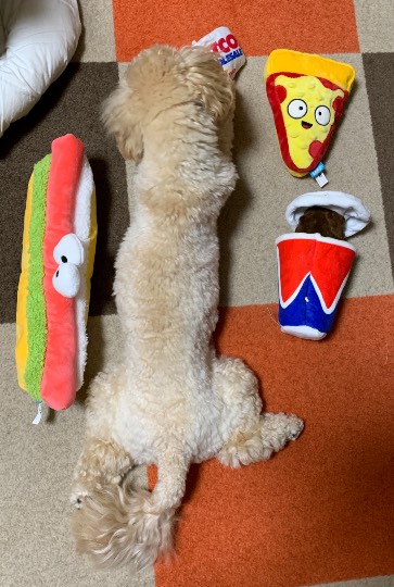 生き物ルーム第45