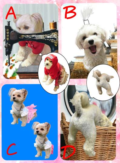 生き物ルーム第45