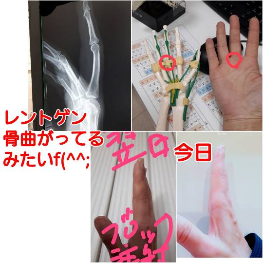 マスク同窓会詰所兼ニューフェイス歓迎所25(笑い場所)