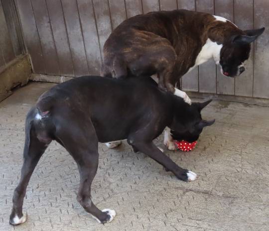 生き物ルーム第45