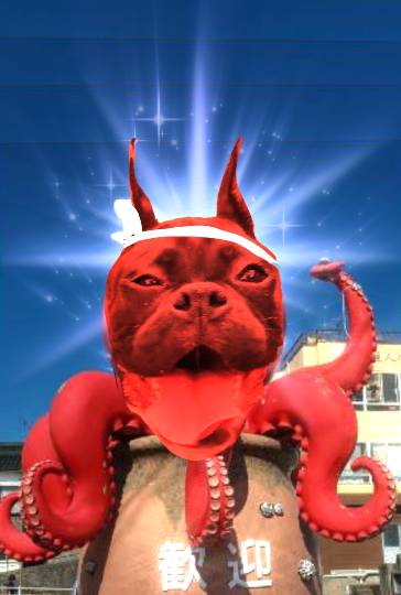 生き物ルーム第45