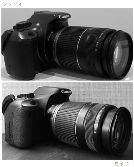 雑談お絵描き部❾　画像関係よろず