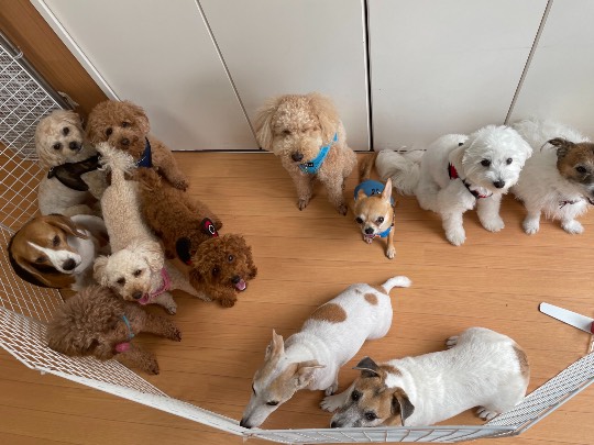 生き物ルーム第45