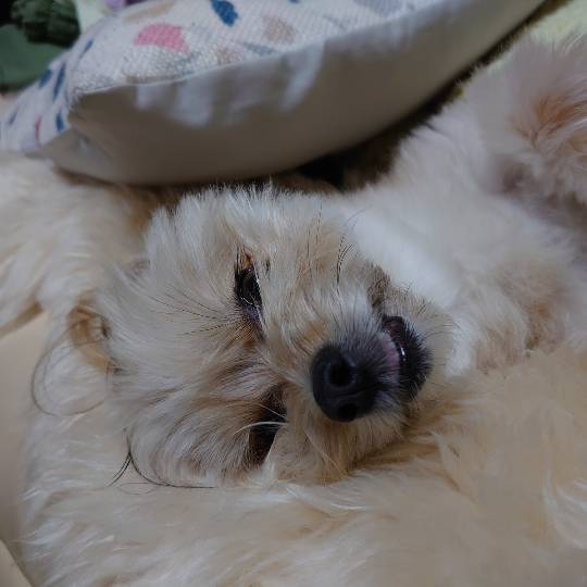 生き物ルーム第45