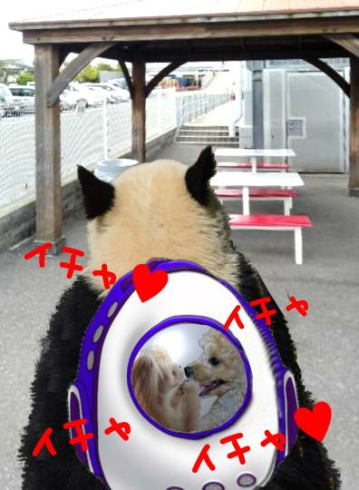 生き物ルーム第44