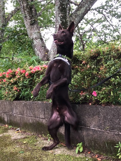 生き物ルーム第45