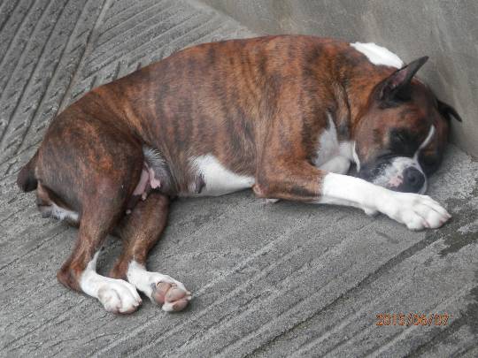 生き物ルーム第44