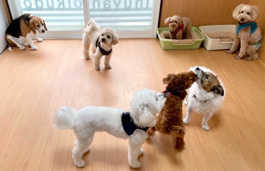 生き物ルーム第45