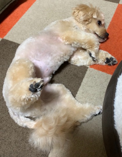 生き物ルーム第45