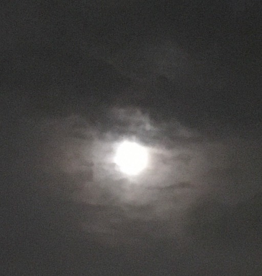 ★ドンキ♡♡ロピア 雑談37★