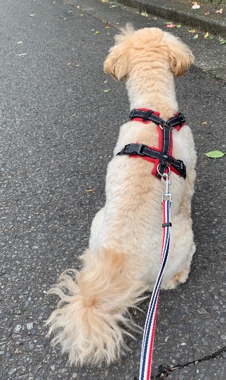 生き物ルーム第44