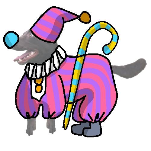 生き物ルーム第45