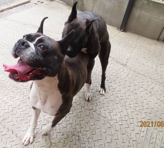 生き物ルーム第45