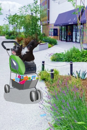 生き物ルーム第45