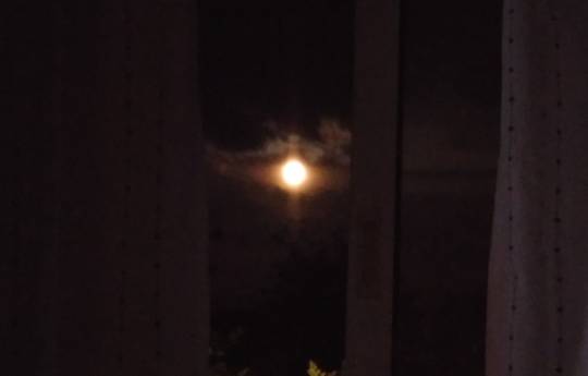 ★ドンキ♡♡ロピア 雑談37★