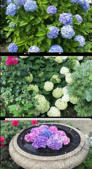 ◆(12)関西版 雑談◆〜関西以外の方も話の輪にどうぞ♪