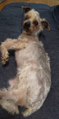 生き物ルーム第45