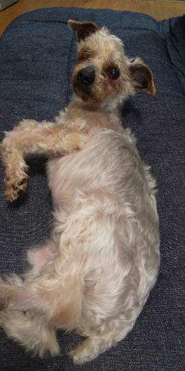 生き物ルーム第45