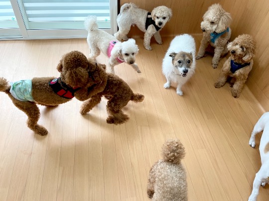 生き物ルーム第45