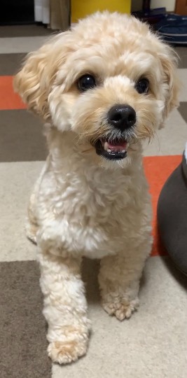 生き物ルーム第45