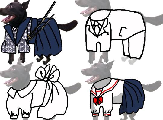 生き物ルーム第45