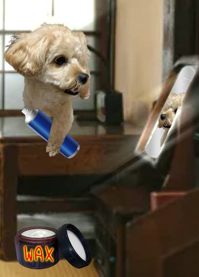 生き物ルーム第45