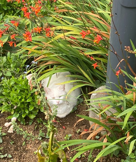 生き物ルーム第45