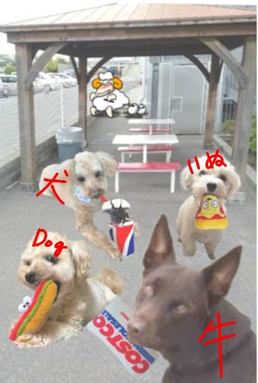 生き物ルーム第45