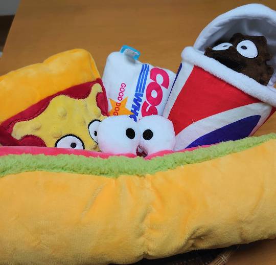 生き物ルーム第45