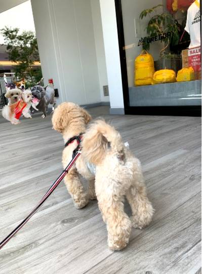 生き物ルーム第45