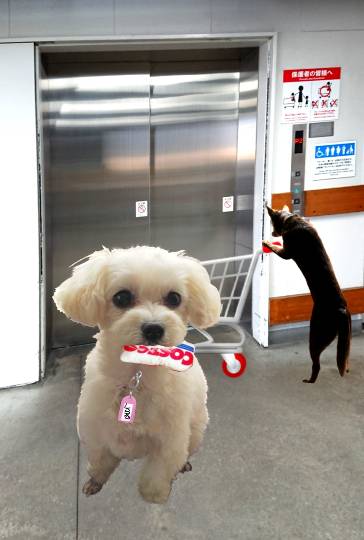 生き物ルーム第44