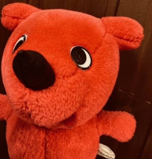 生き物ルーム第44