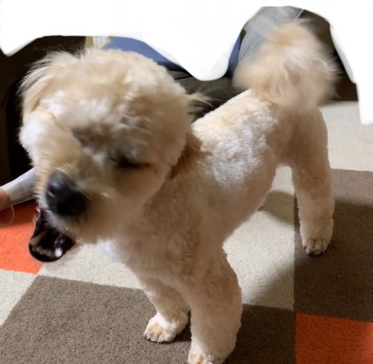 生き物ルーム第45