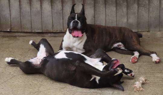 生き物ルーム第45