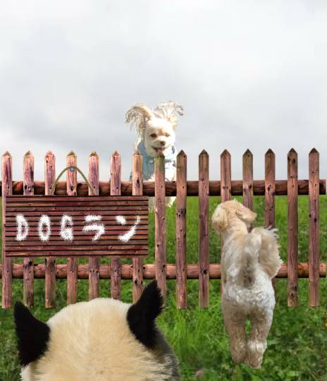 生き物ルーム第44