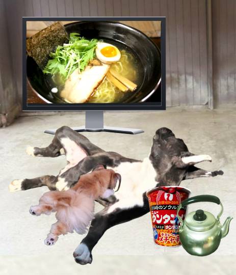 生き物ルーム第45