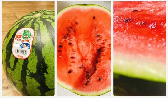 あつまれ‼︎雑談&ゲーム好きの森 season2#3 あ〜した天気にしておくれ〜♪♪