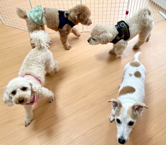 生き物ルーム第45