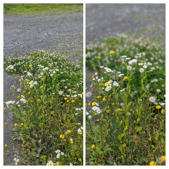 雑談お絵描き部❾　画像関係よろず