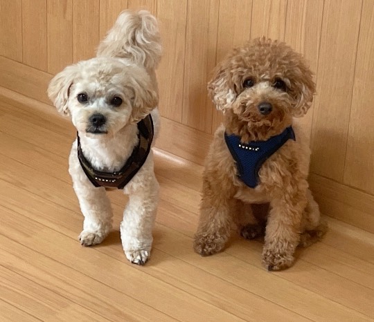 生き物ルーム第45