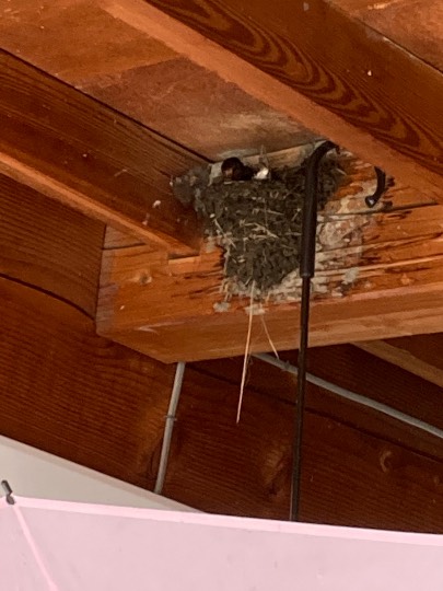 生き物ルーム第44