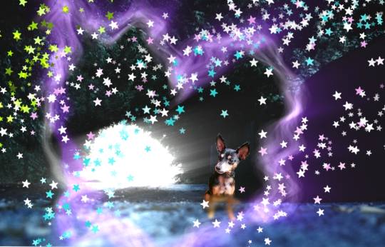 生き物ルーム第45