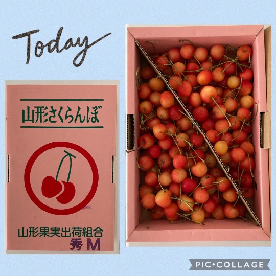 あつまれ‼︎雑談&amp;ゲーム好きの森　season２＃３　あ〜した天気にしておくれ〜♪♪