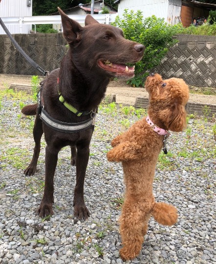 生き物ルーム第45