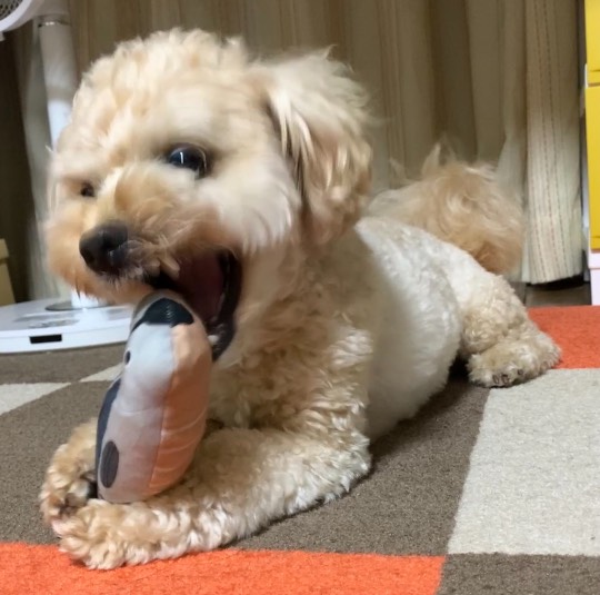 生き物ルーム第45