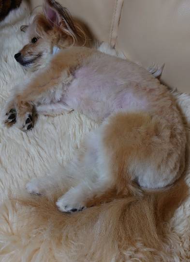 生き物ルーム第45