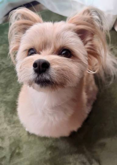 生き物ルーム第44